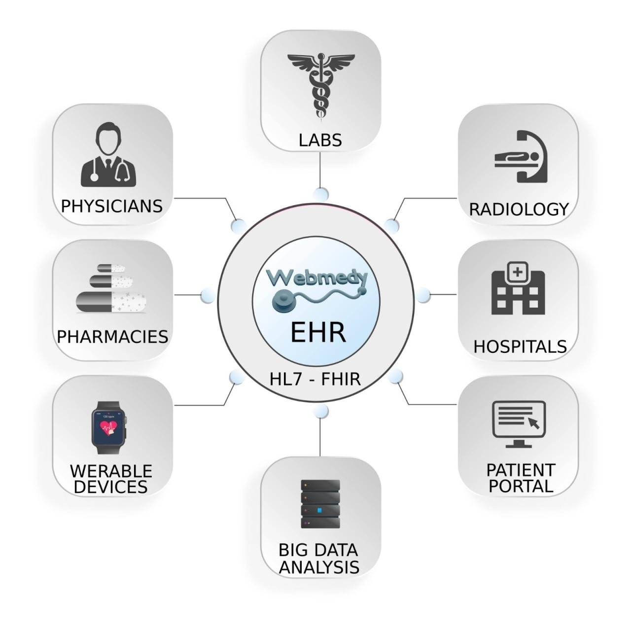 Ehr medical advantages disadvantages